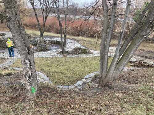 A portion of the park showing a tree marked for removal