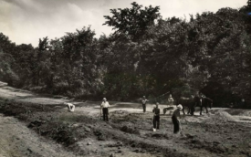 Men with shovels, two horses working on Highway 100 in 1936