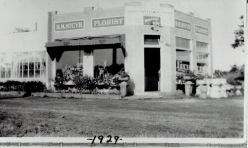 h et m robe fille ceremonie